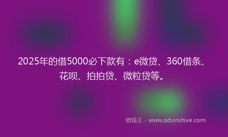 2025年的借5000必下款有：e微贷、360借条、花呗、拍拍贷、微粒贷等。