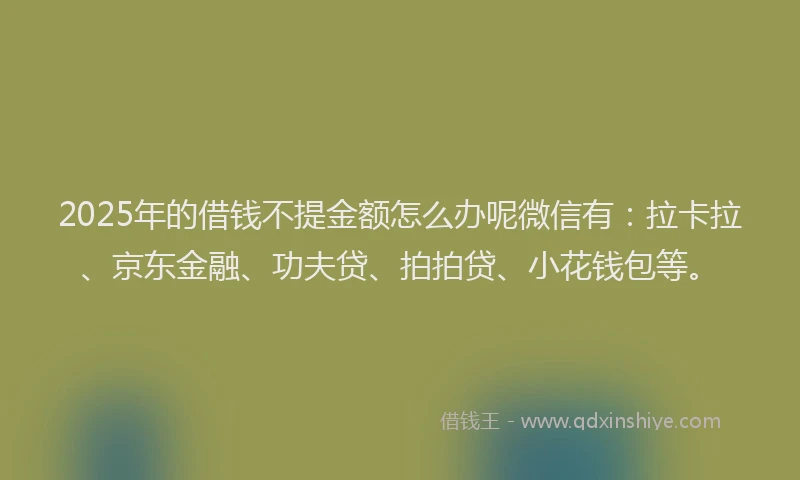 2025年的借钱不提金额怎么办呢微信有：拉卡拉、京东金融、功夫贷、拍拍贷、小花钱包等。