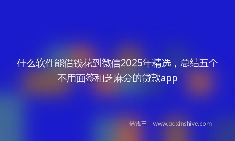 什么软件能借钱花到微信2025年精选，总结五个不用面签和芝麻分的贷款app