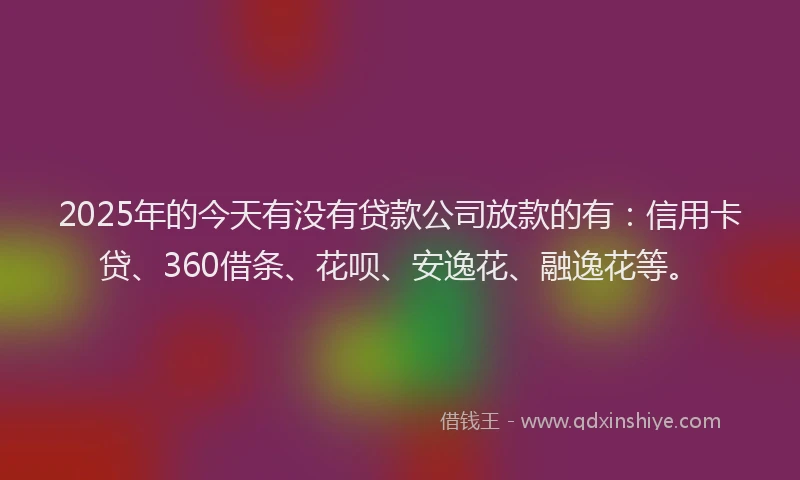 2025年的今天有没有贷款公司放款的有：信用卡贷、360借条、花呗、安逸花、融逸花等。