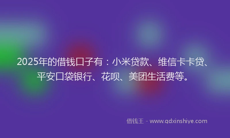 2025年的借钱口子有：小米贷款、维信卡卡贷、平安口袋银行、花呗、美团生活费等。