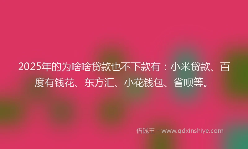 2025年的为啥啥贷款也不下款有：小米贷款、百度有钱花、东方汇、小花钱包、省呗等。
