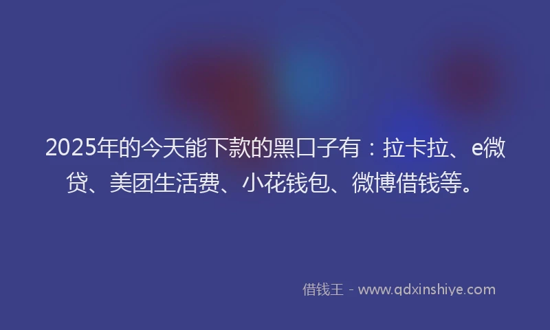 2025年的今天能下款的黑口子有：拉卡拉、e微贷、美团生活费、小花钱包、微博借钱等。