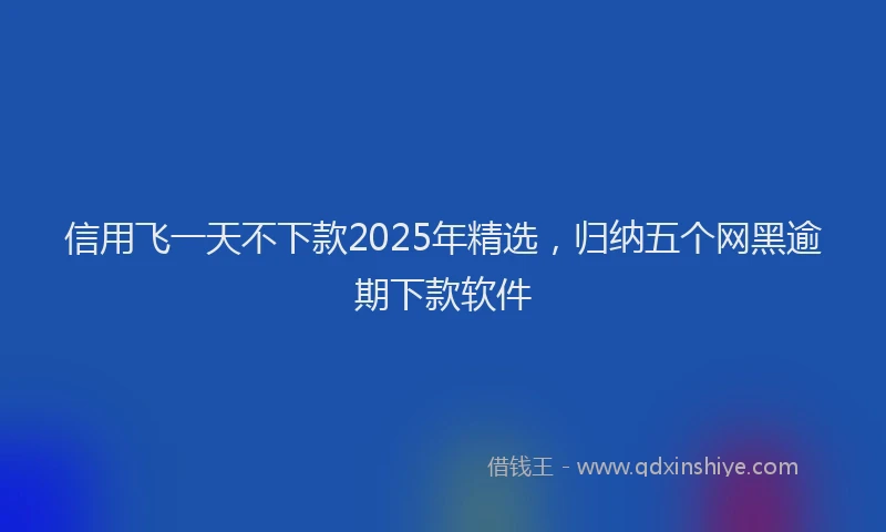 信用飞一天不下款2025年精选，归纳五个网黑逾期下款软件