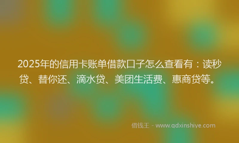 2025年的信用卡账单借款口子怎么查看有：读秒贷、替你还、滴水贷、美团生活费、惠商贷等。