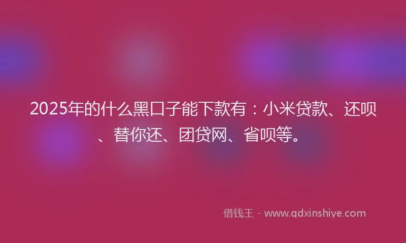 2025年的什么黑口子能下款有：小米贷款、还呗、替你还、团贷网、省呗等。