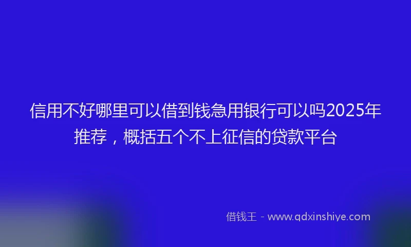 信用不好哪里可以借到钱急用银行可以吗2025年推荐，概括五个不上征信的贷款平台