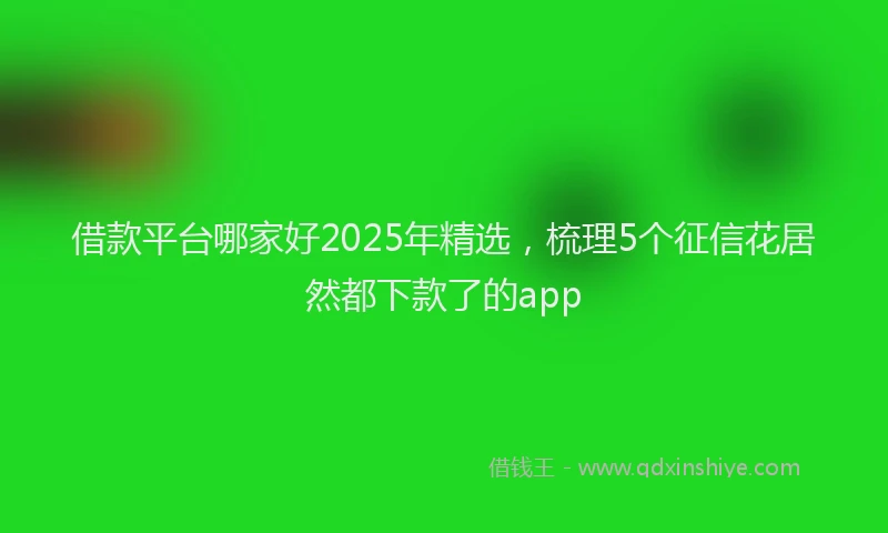 借款平台哪家好2025年精选，梳理5个征信花居然都下款了的app
