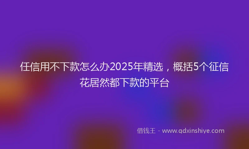 任信用不下款怎么办2025年精选，概括5个征信花居然都下款的平台