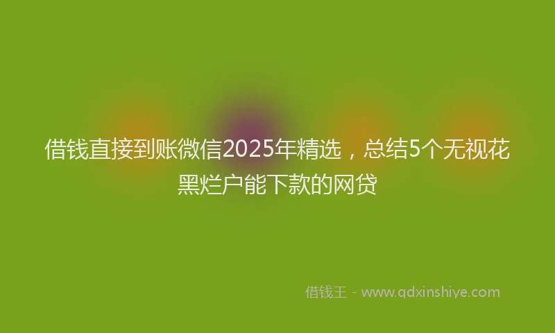 借钱直接到账微信2025年精选，总结5个无视花黑烂户能下款的网贷