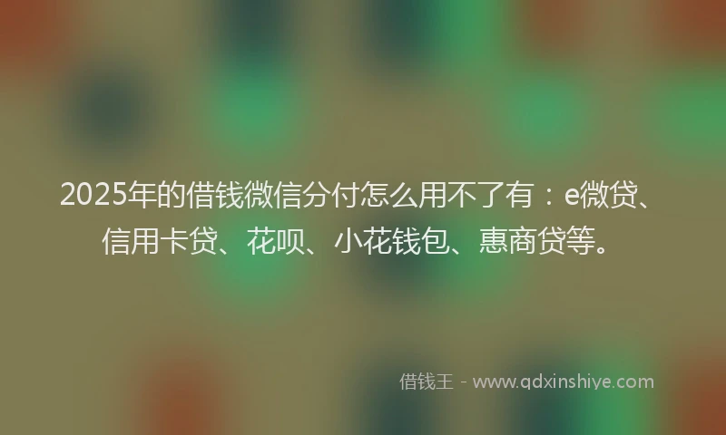 2025年的借钱微信分付怎么用不了有：e微贷、信用卡贷、花呗、小花钱包、惠商贷等。