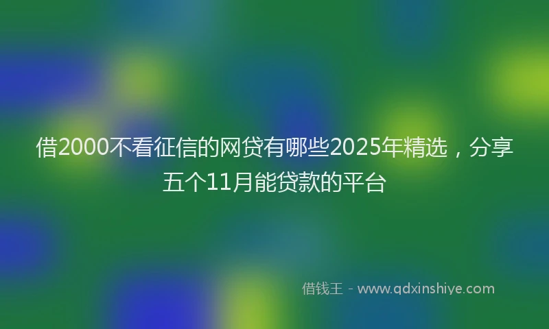 借2000不看征信的网贷有哪些2025年精选，分享五个11月能贷款的平台