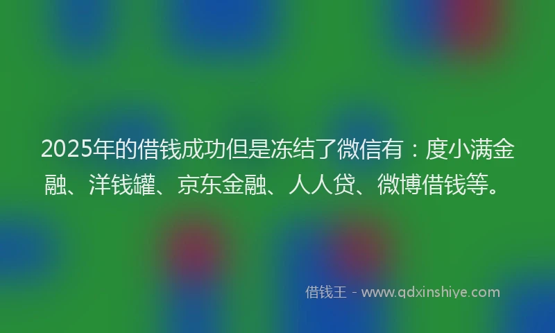 2025年的借钱成功但是冻结了微信有：度小满金融、洋钱罐、京东金融、人人贷、微博借钱等。