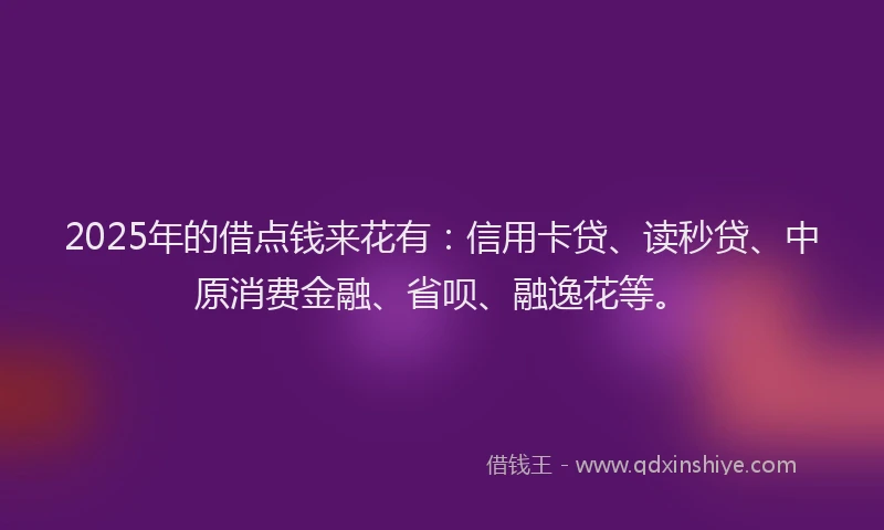 2025年的借点钱来花有：信用卡贷、读秒贷、中原消费金融、省呗、融逸花等。