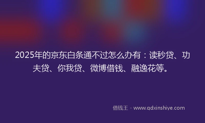 2025年的京东白条通不过怎么办有：读秒贷、功夫贷、你我贷、微博借钱、融逸花等。
