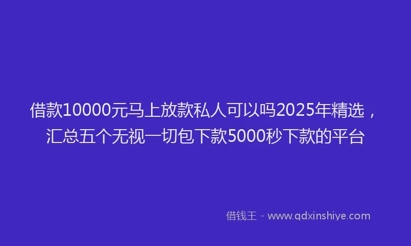 借款10000元马上放款私人可以吗2025年精选，汇总五个无视一切包下款5000秒下款的平台