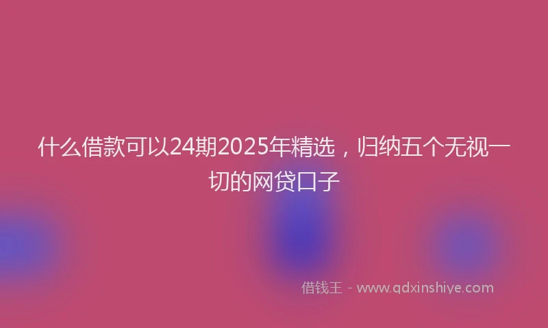 什么借款可以24期2025年精选，归纳五个无视一切的网贷口子