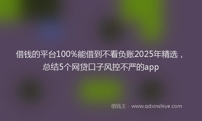 借钱的平台100%能借到不看负账2025年精选，总结5个网贷口子风控不严的app