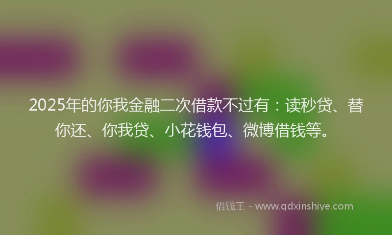 2025年的你我金融二次借款不过有：读秒贷、替你还、你我贷、小花钱包、微博借钱等。