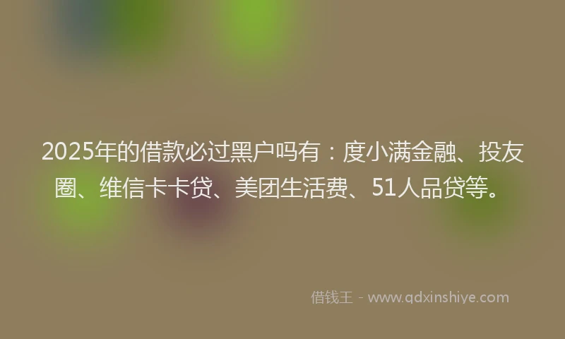 2025年的借款必过黑户吗有：度小满金融、投友圈、维信卡卡贷、美团生活费、51人品贷等。