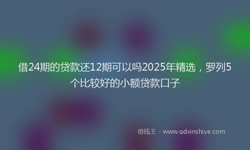 借24期的贷款还12期可以吗2025年精选，罗列5个比较好的小额贷款口子