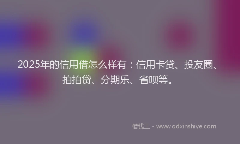 2025年的信用借怎么样有：信用卡贷、投友圈、拍拍贷、分期乐、省呗等。