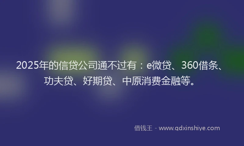 2025年的信贷公司通不过有：e微贷、360借条、功夫贷、好期贷、中原消费金融等。