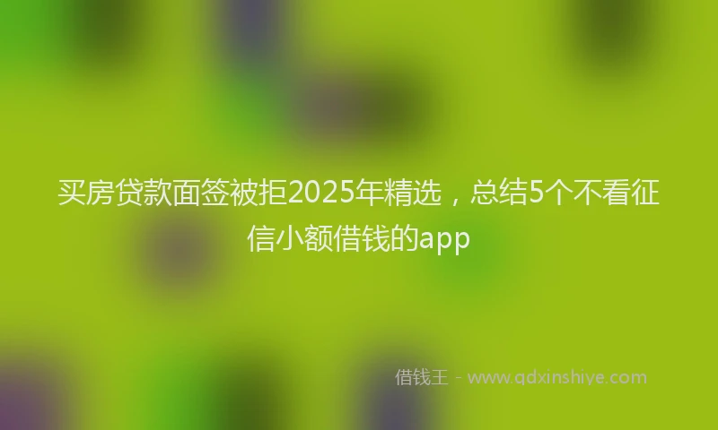 买房贷款面签被拒2025年精选，总结5个不看征信小额借钱的app
