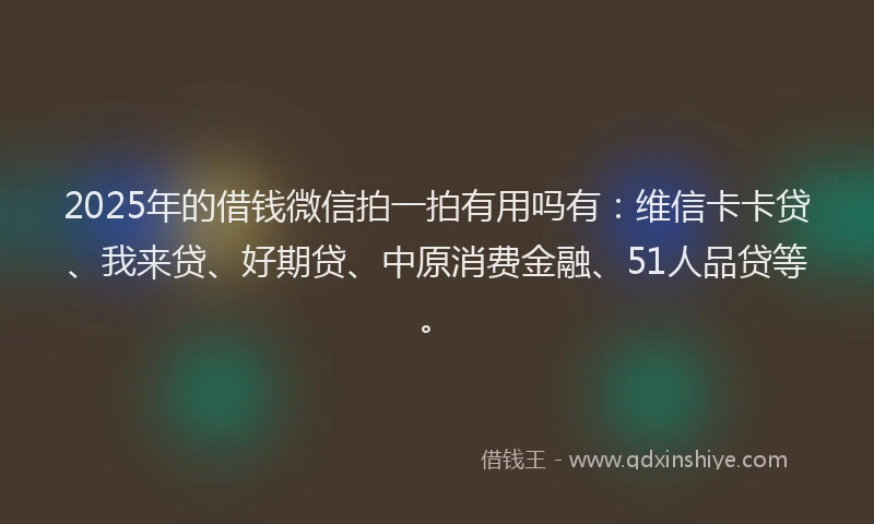 2025年的借钱微信拍一拍有用吗有：维信卡卡贷、我来贷、好期贷、中原消费金融、51人品贷等。