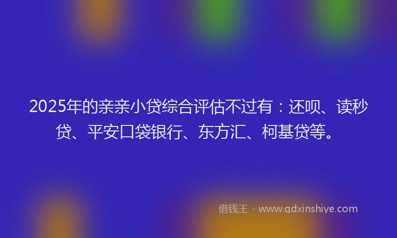 2025年的亲亲小贷综合评估不过有：还呗、读秒贷、平安口袋银行、东方汇、柯基贷等。