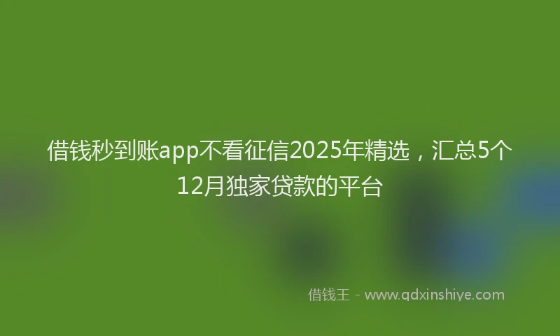 借钱秒到账app不看征信2025年精选，汇总5个12月独家贷款的平台