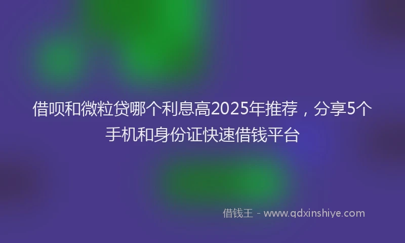 借呗和微粒贷哪个利息高2025年推荐，分享5个手机和身份证快速借钱平台