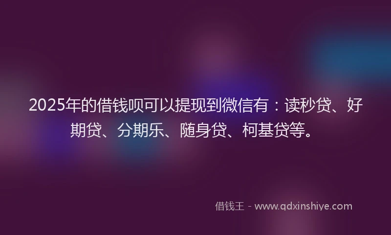 2025年的借钱呗可以提现到微信有：读秒贷、好期贷、分期乐、随身贷、柯基贷等。