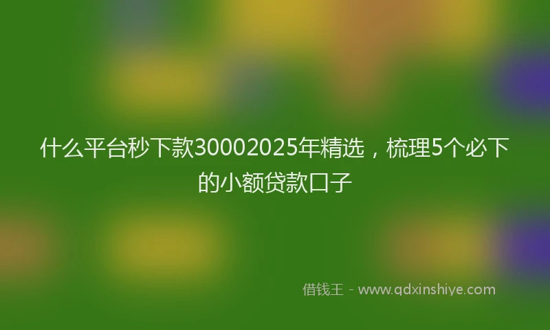 什么平台秒下款30002025年精选，梳理5个必下的小额贷款口子