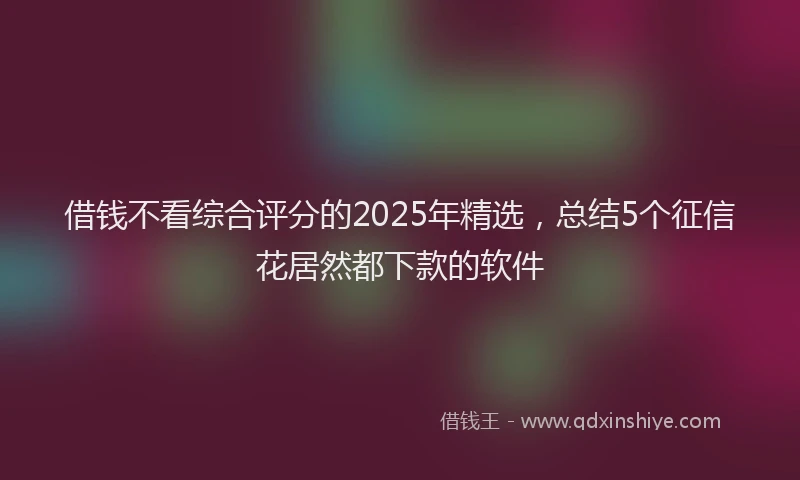 借钱不看综合评分的2025年精选，总结5个征信花居然都下款的软件