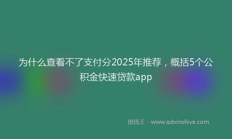 为什么查看不了支付分2025年推荐，概括5个公积金快速贷款app