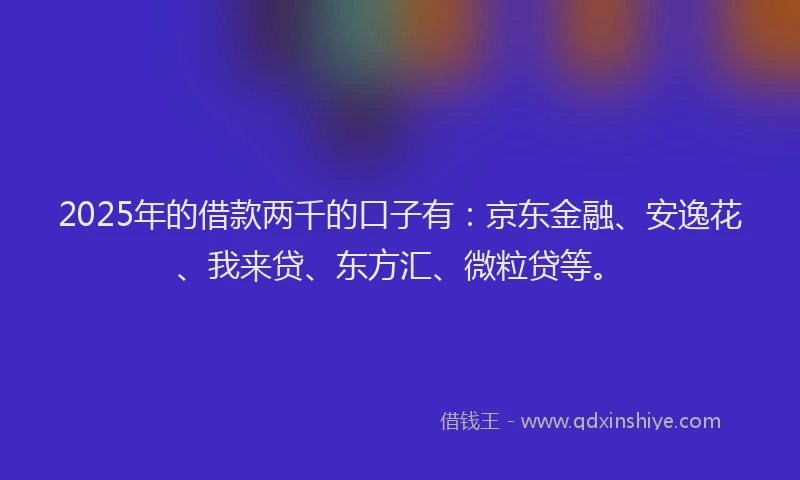 2025年的借款两千的口子有：京东金融、安逸花、我来贷、东方汇、微粒贷等。