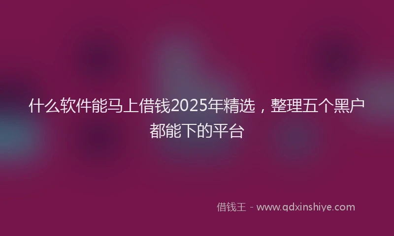 什么软件能马上借钱2025年精选，整理五个黑户都能下的平台