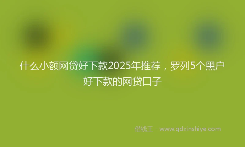 什么小额网贷好下款2025年推荐，罗列5个黑户好下款的网贷口子