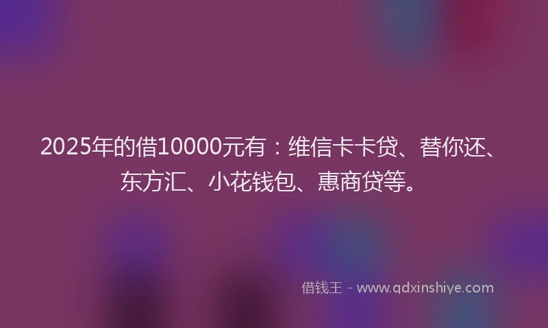 2025年的借10000元有：维信卡卡贷、替你还、东方汇、小花钱包、惠商贷等。