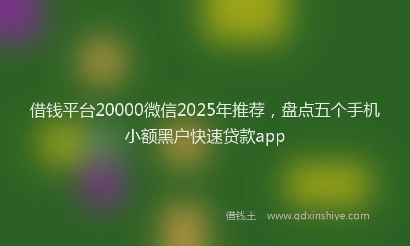 借钱平台20000微信2025年推荐，盘点五个手机小额黑户快速贷款app