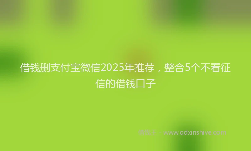 借钱删支付宝微信2025年推荐，整合5个不看征信的借钱口子