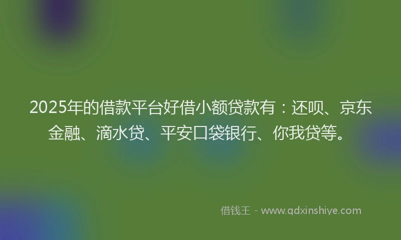 2025年的借款平台好借小额贷款有：还呗、京东金融、滴水贷、平安口袋银行、你我贷等。
