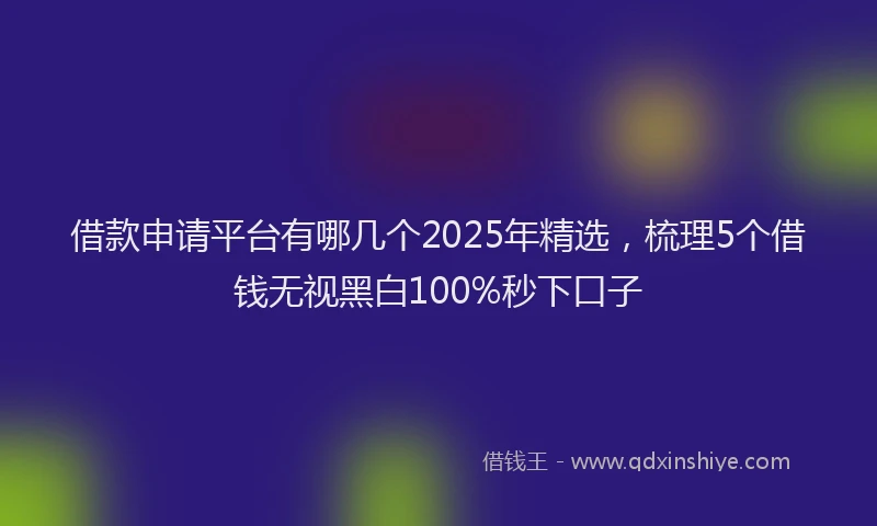 借款申请平台有哪几个2025年精选，梳理5个借钱无视黑白100%秒下口子