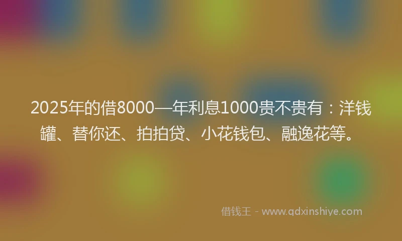 2025年的借8000—年利息1000贵不贵有：洋钱罐、替你还、拍拍贷、小花钱包、融逸花等。
