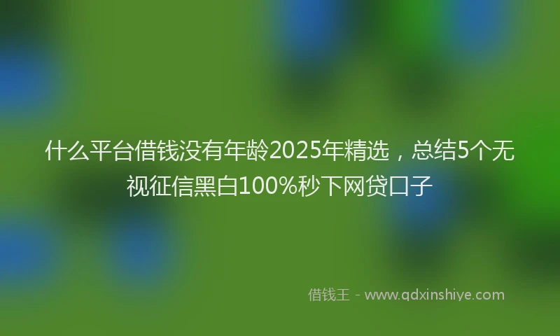 什么平台借钱没有年龄2025年精选，总结5个无视征信黑白100%秒下网贷口子