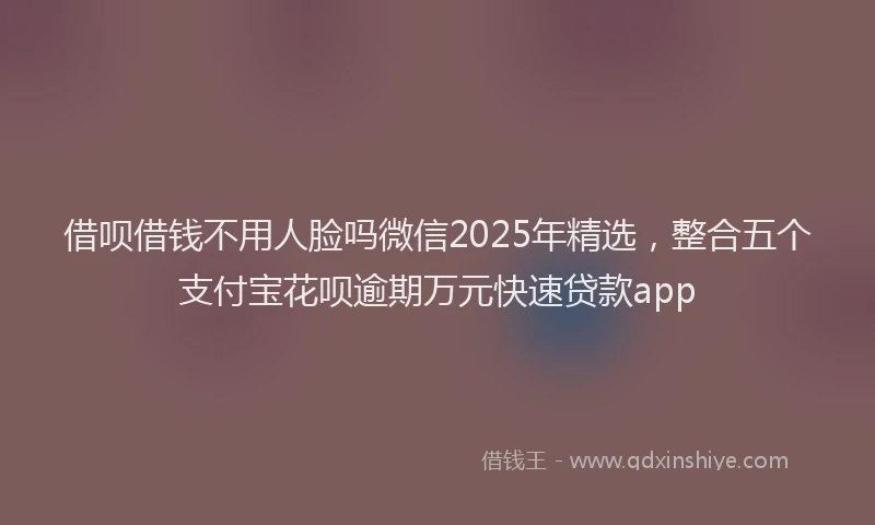 借呗借钱不用人脸吗微信2025年精选，整合五个支付宝花呗逾期万元快速贷款app