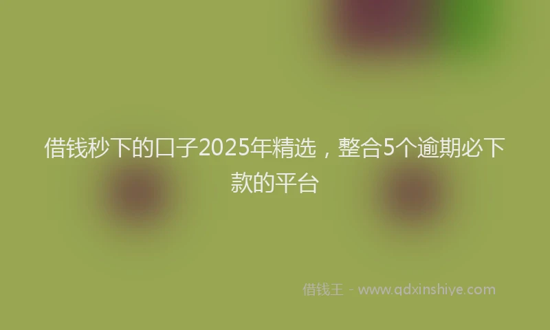 借钱秒下的口子2025年精选，整合5个逾期必下款的平台