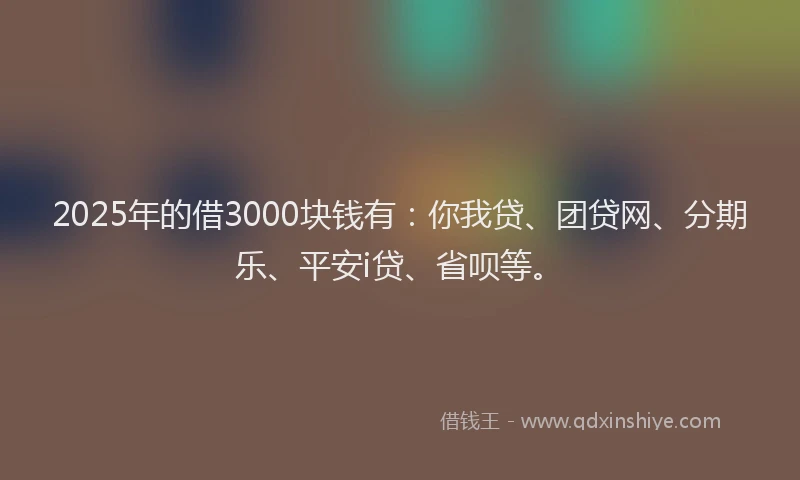 2025年的借3000块钱有：你我贷、团贷网、分期乐、平安i贷、省呗等。