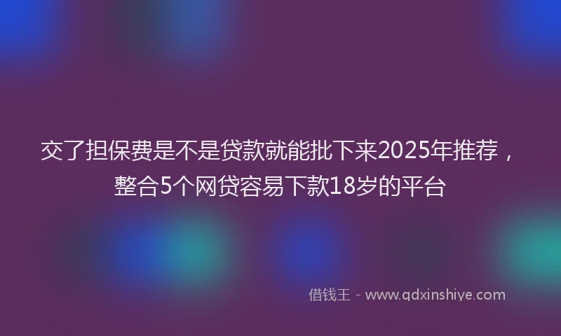 交了担保费是不是贷款就能批下来2025年推荐，整合5个网贷容易下款18岁的平台